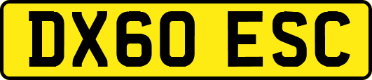 DX60ESC