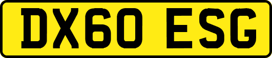 DX60ESG
