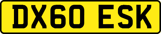 DX60ESK