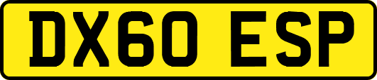 DX60ESP