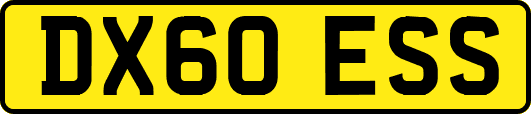 DX60ESS