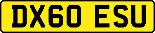 DX60ESU