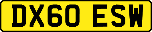 DX60ESW