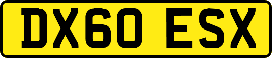 DX60ESX