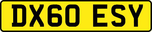 DX60ESY