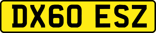 DX60ESZ