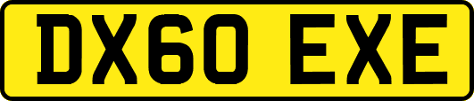DX60EXE