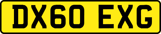 DX60EXG