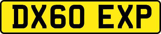DX60EXP