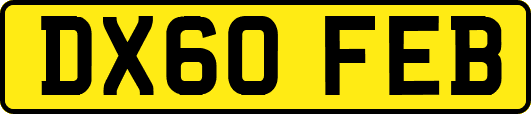 DX60FEB