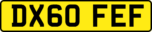 DX60FEF