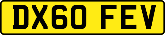 DX60FEV