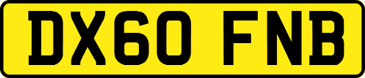 DX60FNB