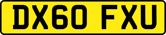 DX60FXU