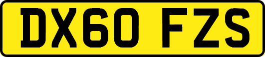 DX60FZS