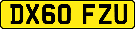 DX60FZU
