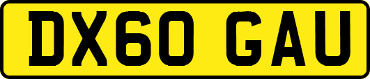 DX60GAU