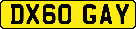 DX60GAY