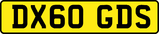 DX60GDS