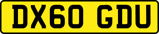 DX60GDU