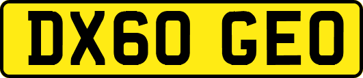 DX60GEO