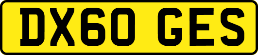 DX60GES