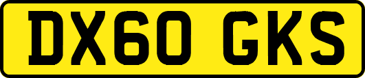 DX60GKS