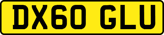 DX60GLU