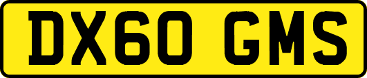 DX60GMS