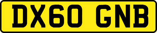 DX60GNB