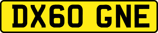 DX60GNE