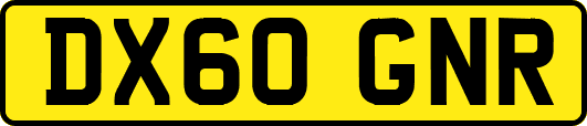 DX60GNR