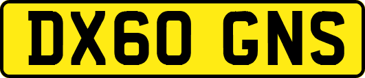 DX60GNS