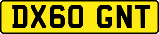 DX60GNT