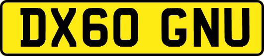 DX60GNU