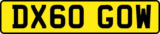 DX60GOW