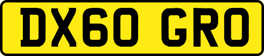 DX60GRO
