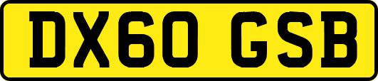 DX60GSB