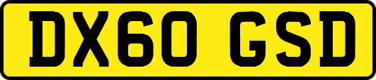 DX60GSD