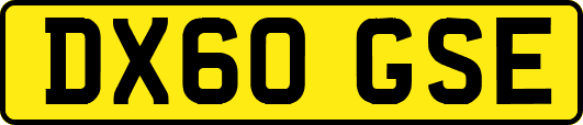 DX60GSE