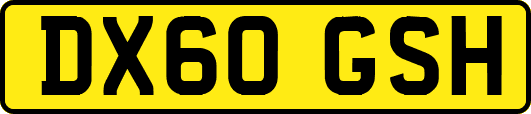 DX60GSH