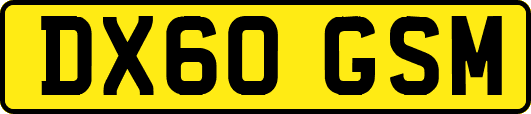 DX60GSM