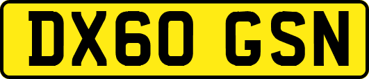 DX60GSN