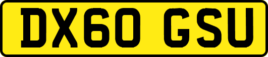 DX60GSU