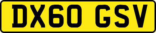 DX60GSV