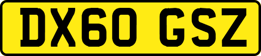 DX60GSZ