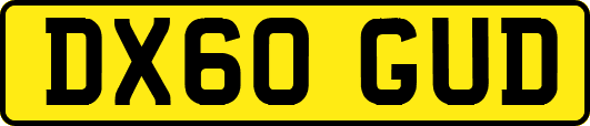 DX60GUD
