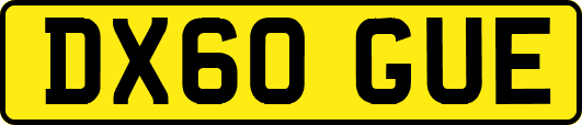 DX60GUE