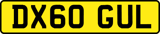 DX60GUL