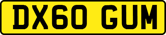 DX60GUM